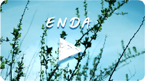 Calixte CHARLES - Director - Enda