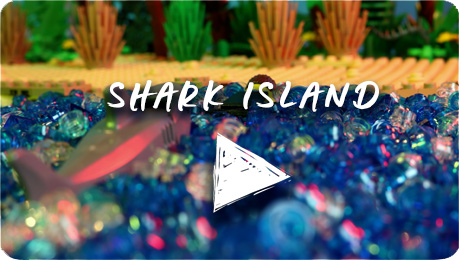 Calixte CHARLES - Director - Shark Island